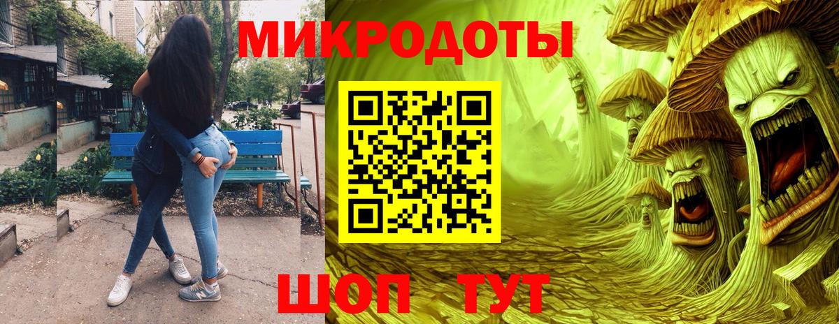 Псилоцибиновые грибы Psilocybine cubensis Котельники